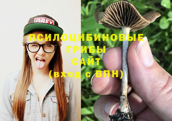 mdma Козельск