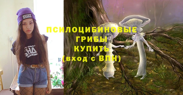 молекула духа Кодинск