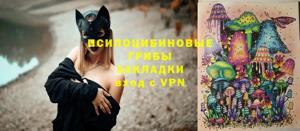 соль курить ск Козловка