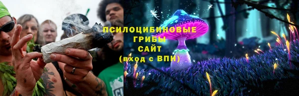 молекула духа Кодинск