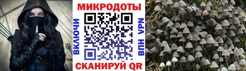 купить наркотик  Никольск  мега ссылки  Псилоцибиновые грибы ЛСД 
