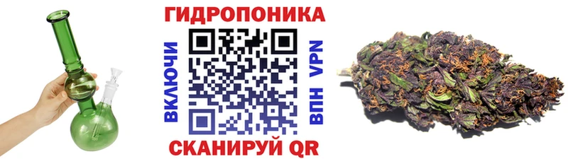 Бошки Шишки конопля  купить   Никольск 